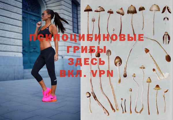 меф Медногорск