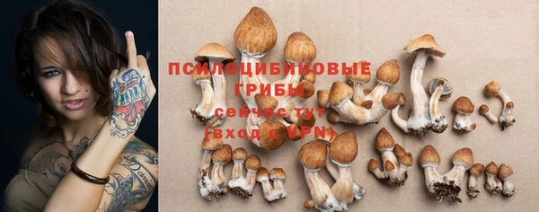твердый Медвежьегорск