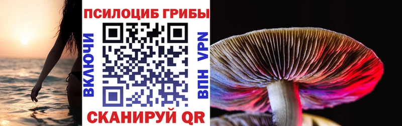 Псилоцибиновые грибы мухоморы  цена   Астрахань 